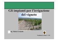 09 Gli impianti per l'irrigazione del vigneto (MaiFer)