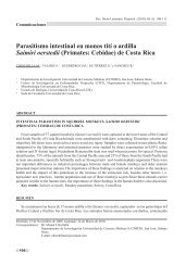 Parasitismo intestinal en monos tití o ardilla Saimiri oerstedii ...