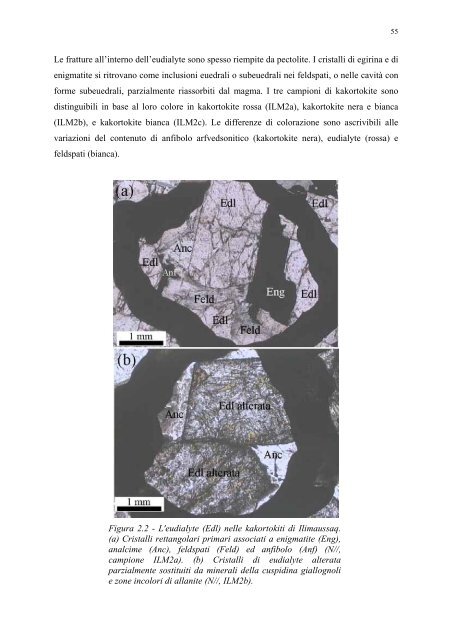 Dottorato di Ricerca in Scienze della Terra (XVI ciclo)