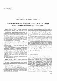 Full Text (PDF) - Comitato Glaciologico Italiano