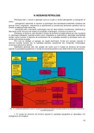 IV. NOŢIUNI DE PETROLOGIE - Doru Juravle