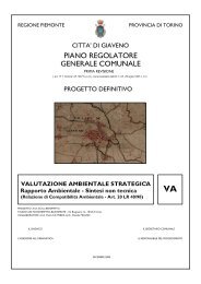 Valutazione Ambientale Strategica [PDF - 5.006 KB] - Città di Giaveno