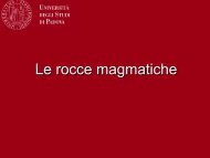 10 Rocce magmatiche.pdf - Dipartimento di Geoscienze