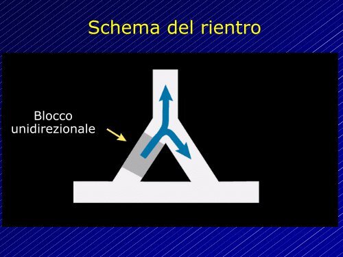 Le aritmie cardiache - Cuorediverona.it