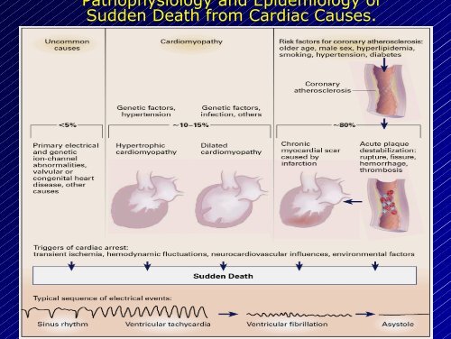 Le aritmie cardiache - Cuorediverona.it