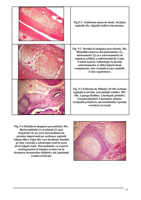 teză de doctorat - Universitatea de Medicina si Farmacie "Carol ...