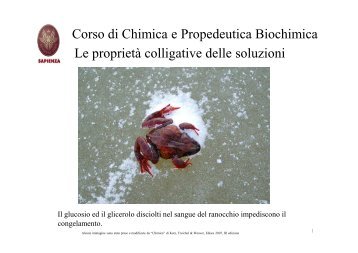 Corso di Chimica e Propedeutica Biochimica Le proprietà colligative ...