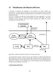 12 Modellazione del bilancio dell'azoto - sipeaa