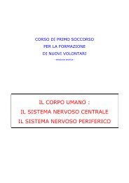 Il corpo umano: il sistema nervoso - Gruppo Volontari Ambulanza di ...