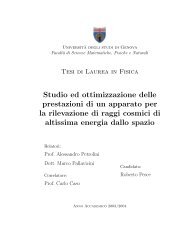 Tesi di Laurea in Fisica