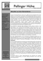 PDF-Download - Pellingen