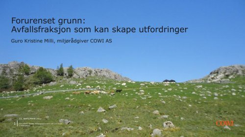 Guro Kristine Milli.pdf - Norsas