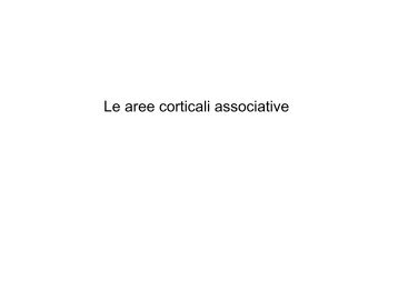 Lezione 24 aree associative