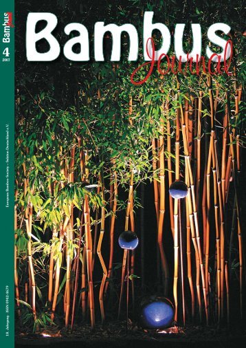 Bambus - Forum