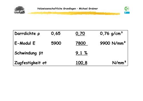 Zerstreutporiges Laubholz