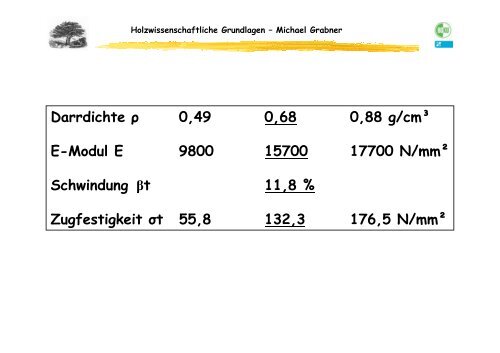 Zerstreutporiges Laubholz