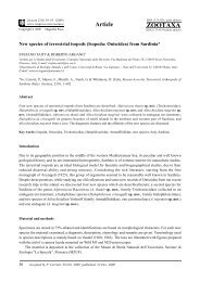 Zootaxa, New species of terrestrial isopods ... - Magnolia Press