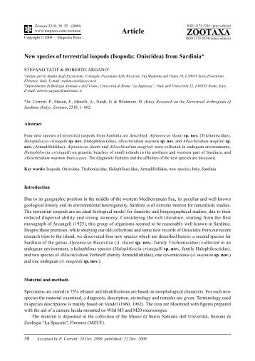 Zootaxa, New species of terrestrial isopods ... - Magnolia Press