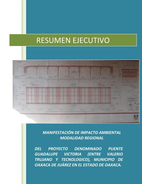 RESUMEN EJECUTIVO - sinat - Semarnat