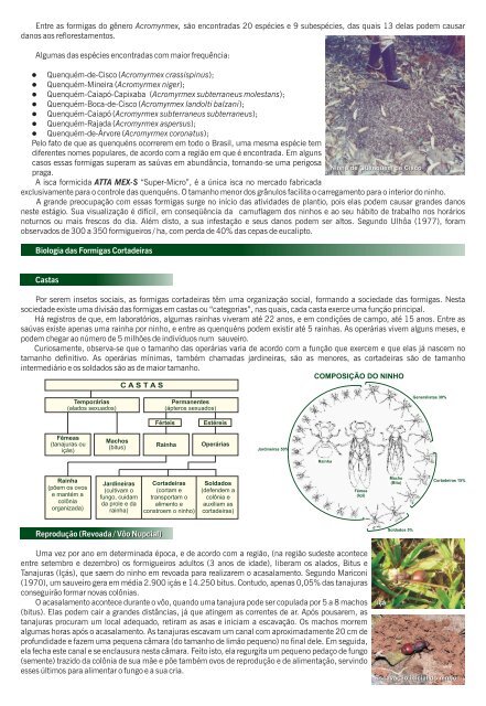 Informações sobre Formigas Cortadeiras - Unibrás - Agro Química ...