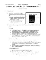 ENERGY METABOLISM AND VITAMINS/MINERAL