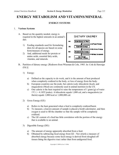 ENERGY METABOLISM AND VITAMINS/MINERAL