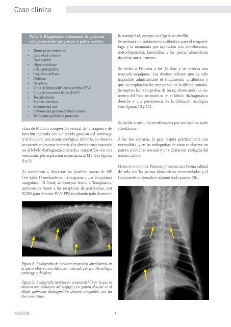 Descarga la revista en formato PDF - AMVAC