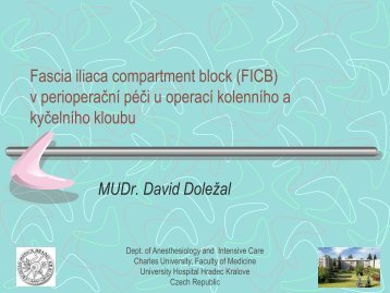 Fascia iliaca compartment block (FICB) v perioperační péči u ...