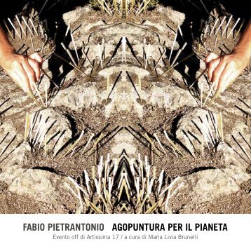 L'agopuntura per il pianeta di Fabio Pietrantonio