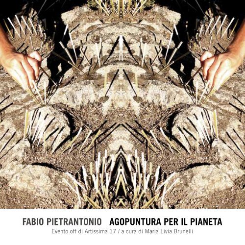 L'agopuntura per il pianeta di Fabio Pietrantonio