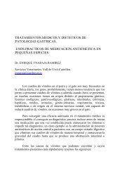 Tratamientos antiheméticos - Productos Veterinarios Laboratorios ...