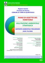 VAS – Rapporto Ambientale Preliminare - Provincia di Vicenza