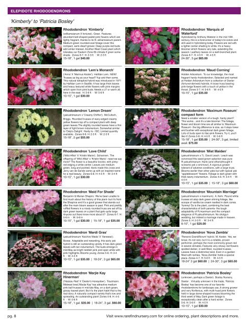 D/L The RFN Catalog Part #1 - Rhododendrons - Rare Find Nursery