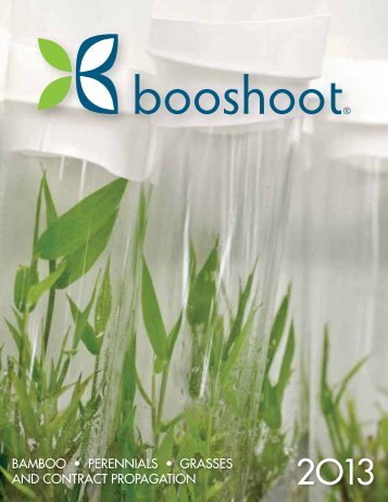 bamboo • perennials • grasses and contract propagation - Booshoot