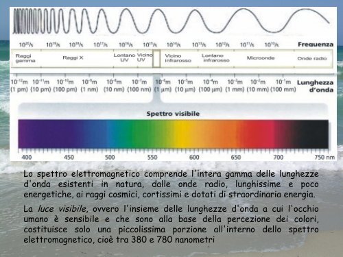 Ne faremo di tutti i colori - Dipartimento di Fisica - Università degli ...