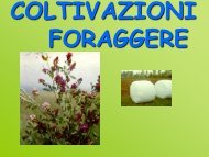COLTIVAZIONI FORAGGERE - Di.Pro.Ve