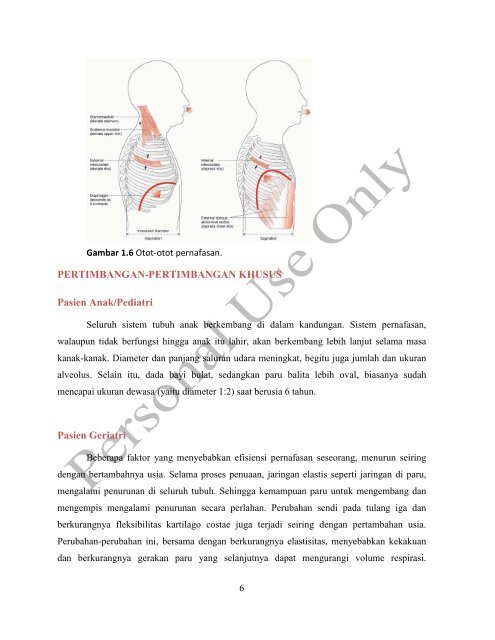 Sistem Pernafasan: Assessment, Patofisiologi, dan Terapi ...