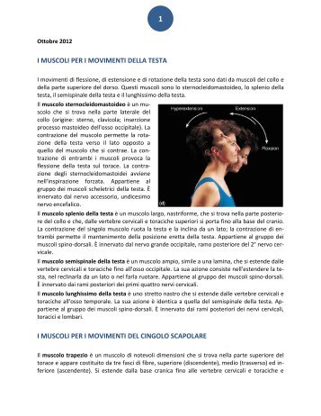 i muscoli per i movimenti della testa i muscoli per i movimenti del ...