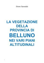 La vegetazione della Provincia di Belluno - Gruppo Natura Bellunese