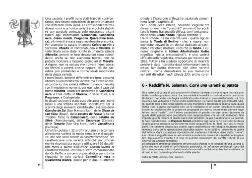 Scarica PDF (1810 Kb) - Consorzio della Quarantina