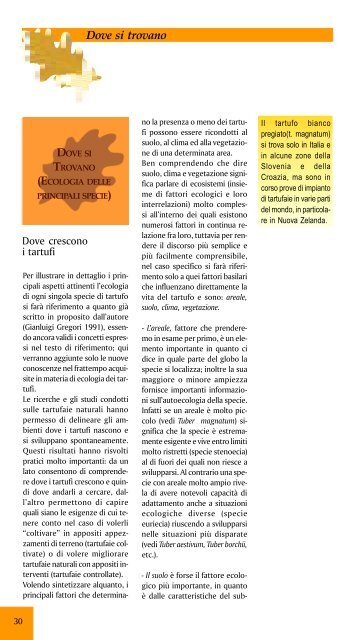 I Tartufi Dove Si Trovano Provincia Di Rimini