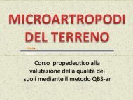 microartropodi del terreno 1 - Scuola21