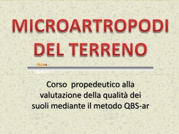 microartropodi del terreno 1 - Scuola21
