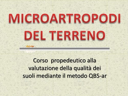 microartropodi del terreno 1 - Scuola21