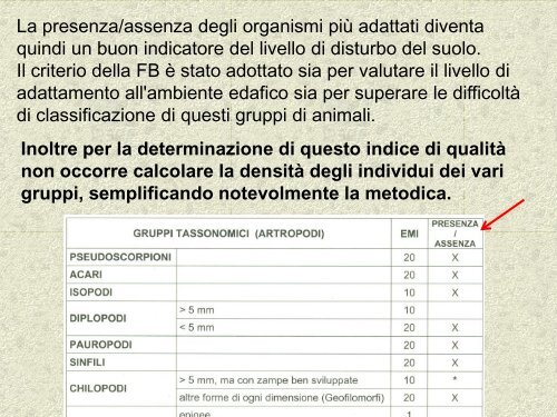 microartropodi del terreno 1 - Scuola21