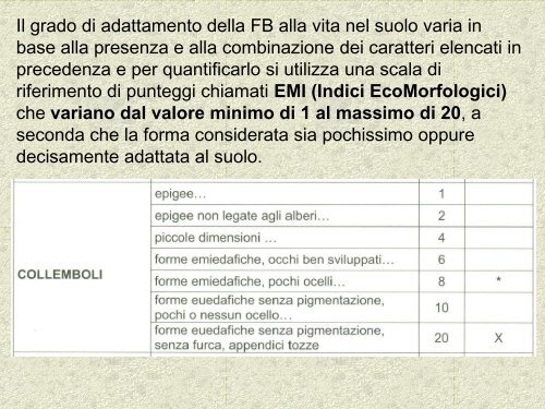 microartropodi del terreno 1 - Scuola21