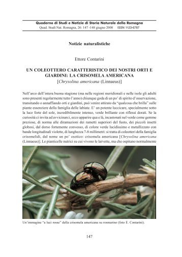 quaderno 26.pmd - Società per gli Studi Naturalistici della Romagna