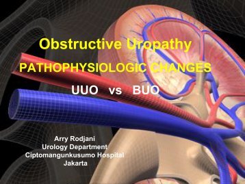 PATOFISIOLOGI OBSTRUKSI URETER UNILATERAL DAN ...