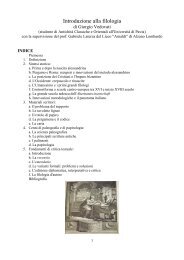 Introduzione alla filologia - Liceo Scientifico Statale Edoardo Amaldi