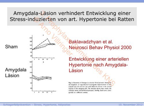 3. Prophylaxe-Seminar des KNS © Arno Villringer - Kompetenznetz ...